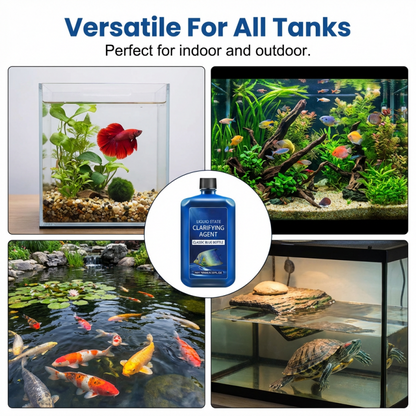 Water clarifier for aquariums and decorative ponds